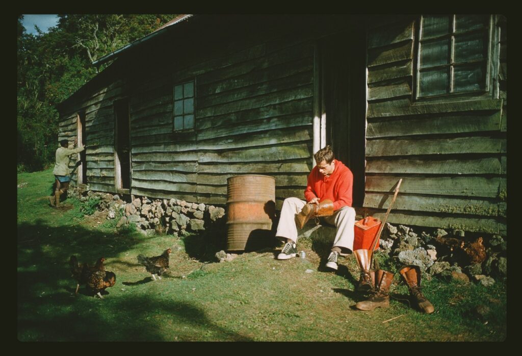 Keeping house among the mountain gorillas, Kabara, Belgian Congo, 1959