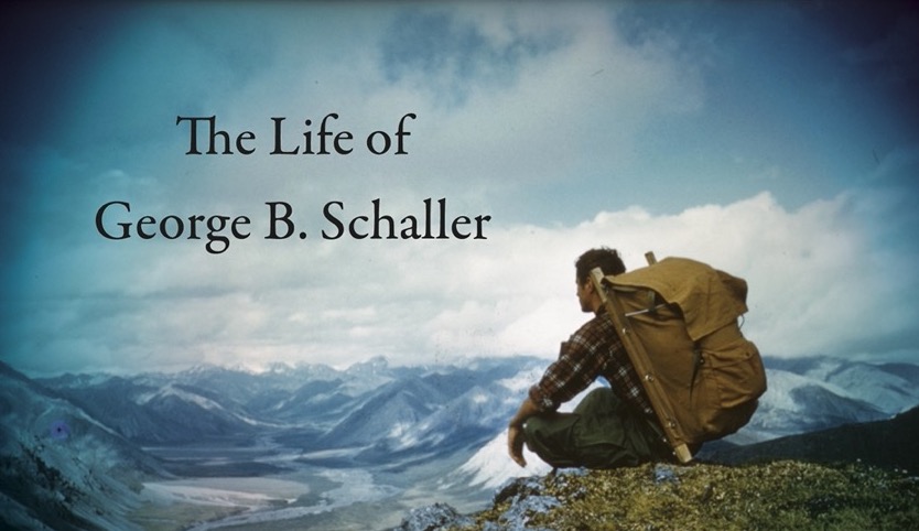 homesick-for-a-world-unkown-socials